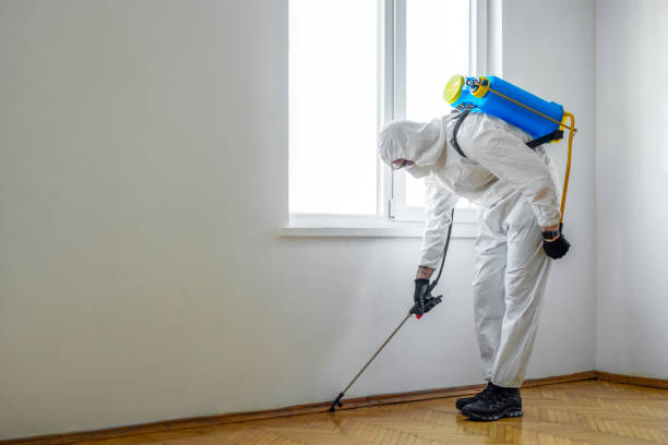 Best Best Pest Control Companies  in Bartonville, TX