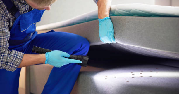 Best Affordable Pest Control Services  in Bartonville, TX