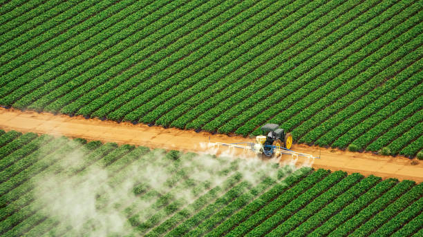 Best Commercial Pest Control Services  in Bartonville, TX