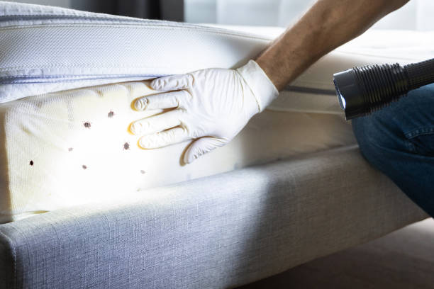 Best Exterminator Services  in Bartonville, TX