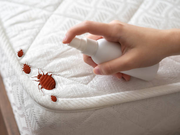 Best Pest Prevention Services  in Bartonville, TX