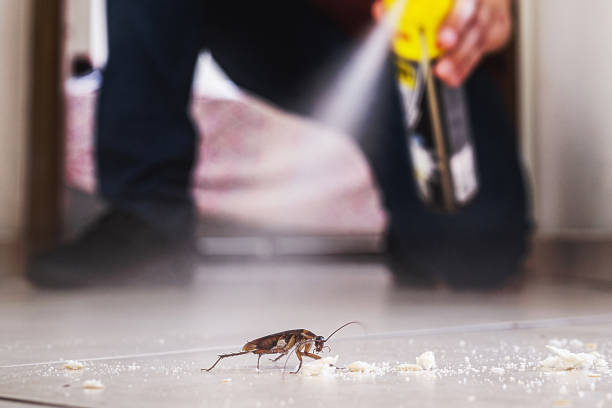 Pest Control for Restaurants in Bartonville, TX