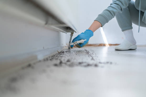 Best Insect Control  in Bartonville, TX