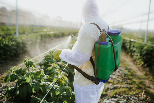 Reliable Bartonville, TX Pest Control Solutions